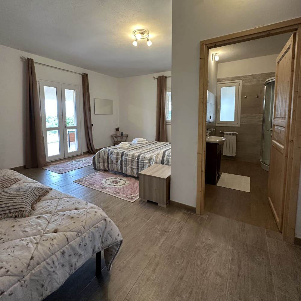 Service/Feature Image